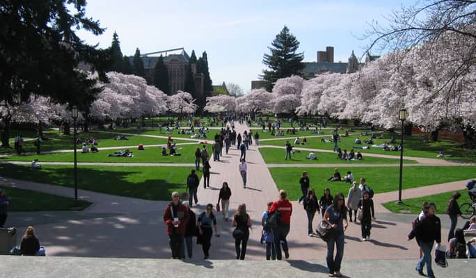ワシントン大学　ペナント　University of Washington University of Washington - Abound: Finish College