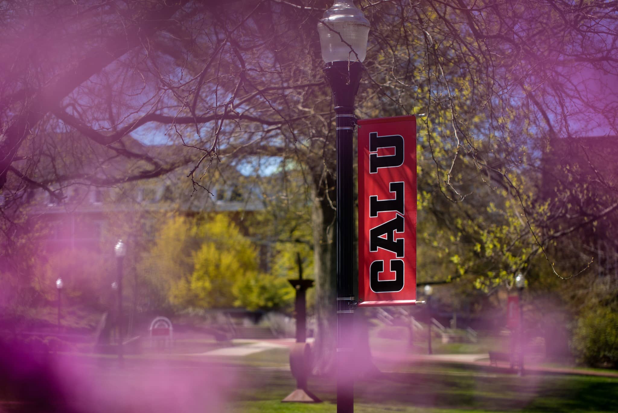 California University Of Pennsylvania Abound Finish College