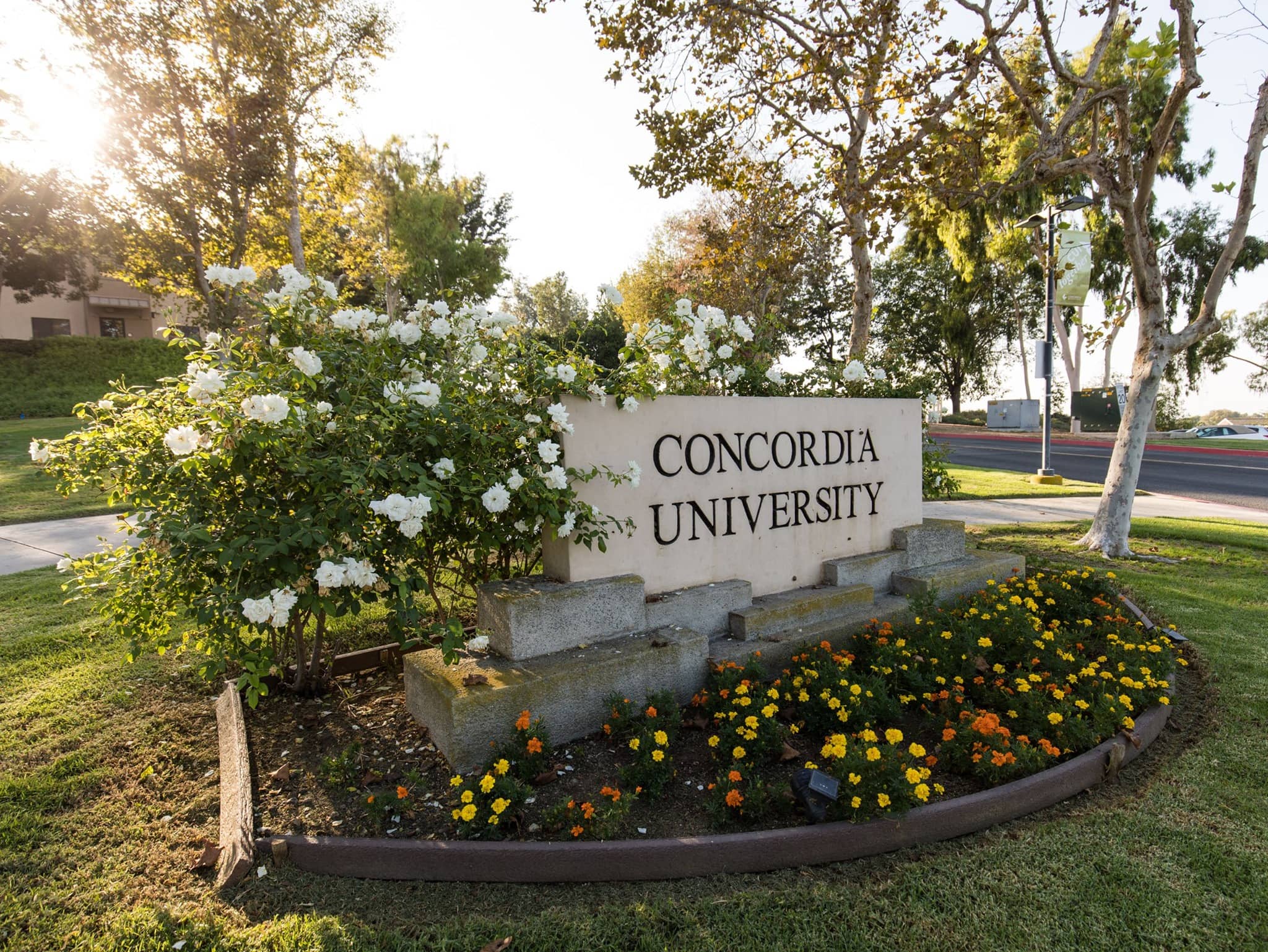 Concordia UniversityIrvine Abound Grad School