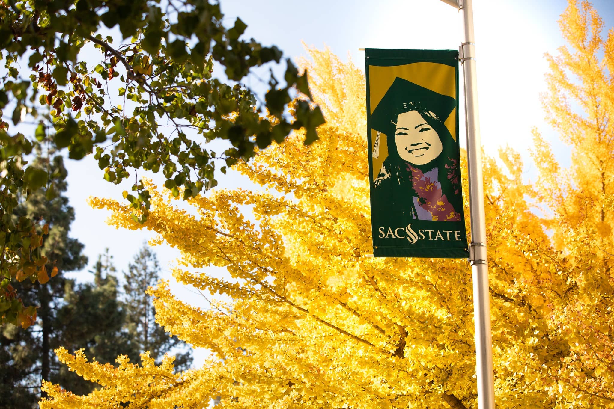 California State University Sacramento Abound Grad School California State University Sacramento Abound Grad School
