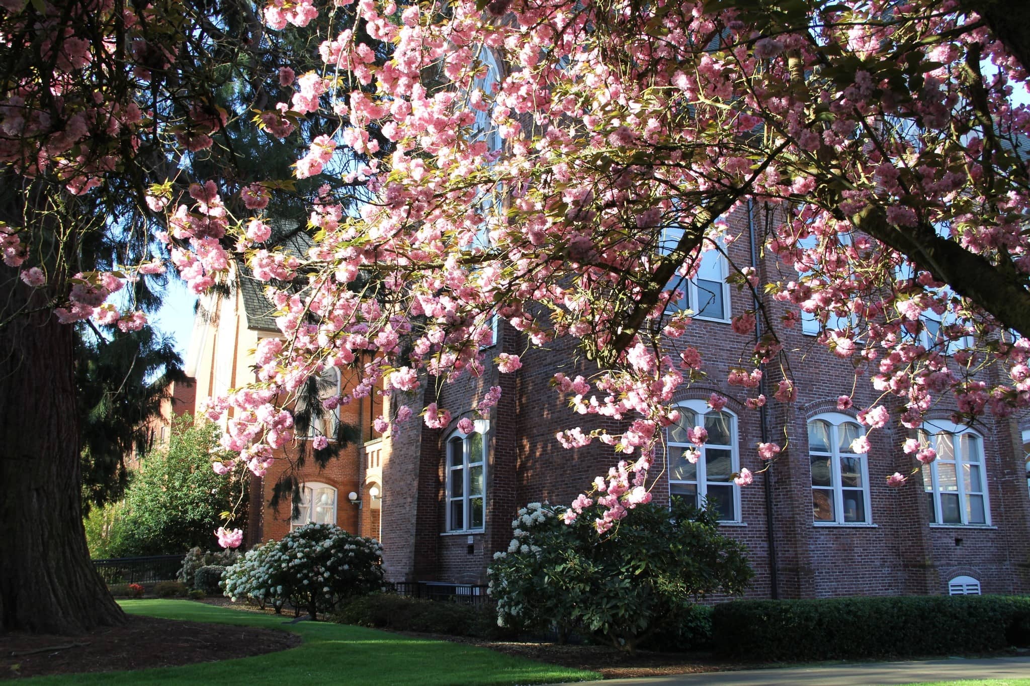 Western Oregon University - Abound: Grad School