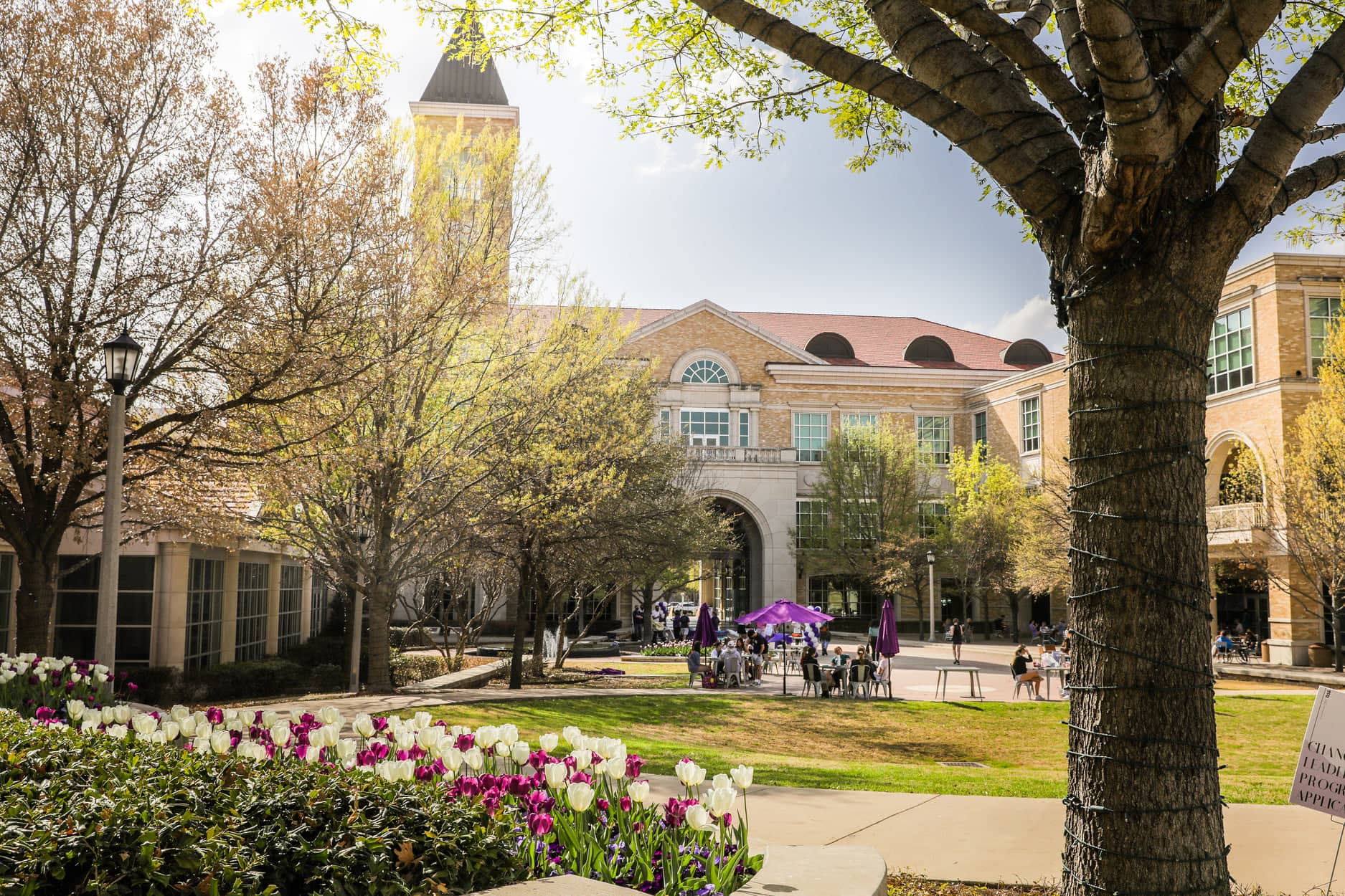 Texas Christian University Abound Grad School