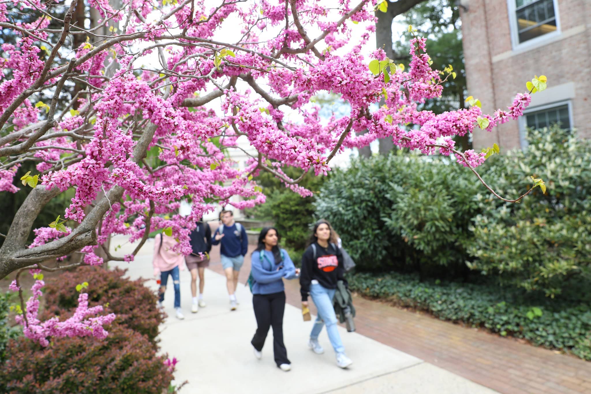 Hofstra University - Abound: Grad School