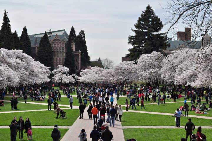 University of Washington MBA